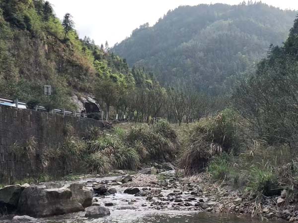 借贷合同中出现哪些约定法院不支持？上海法律咨询为您介绍