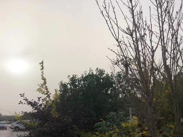 处理交通事故的时间多久？静安律师今日为您解答