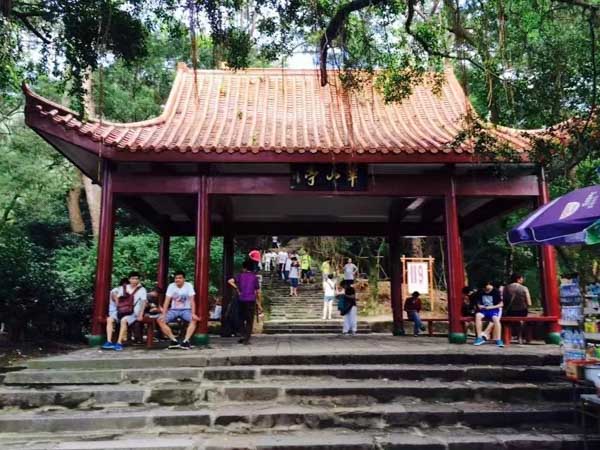 浦东律师来讲讲交通事故后的处理流程
